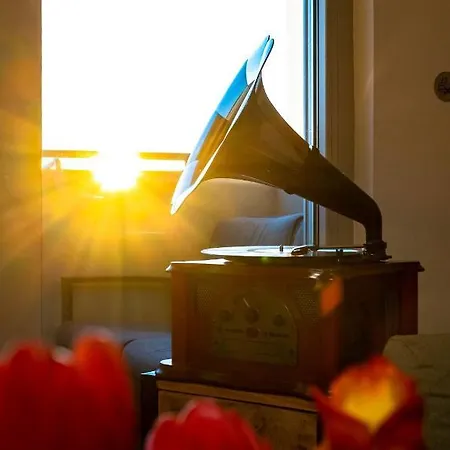 Sundowner *